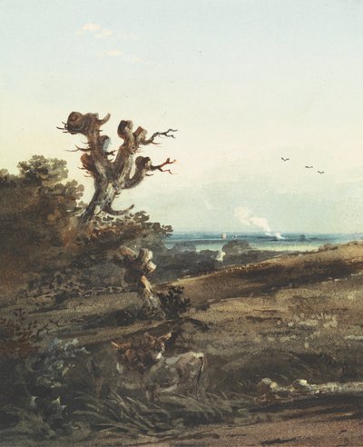 Twee ezels in een landschap door John Varley