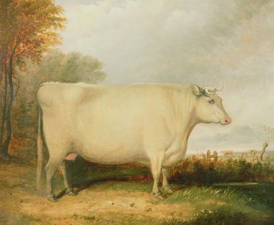 Portret van een prijskoe door John Vine