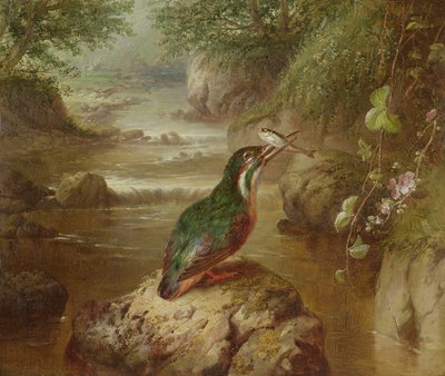 Het verblijf van de ijsvogel door John Wainwright