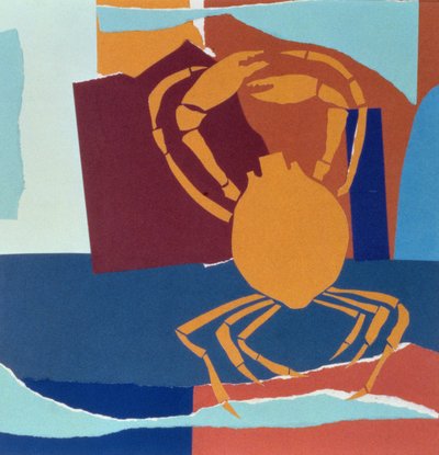 Spin Krab door John Wallington