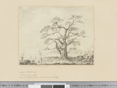 Uitzicht op de kust, grote boom in het midden door John Webber