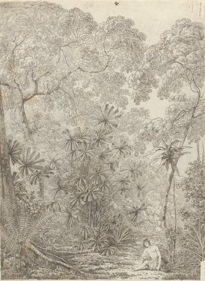 De waaierpalm van Krakatau door John Webber