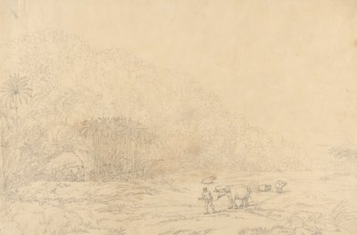 Uitzicht op het eiland Pulo Condore door John Webber