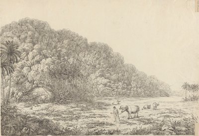 Zicht op het Eiland Pulo Condore door John Webber