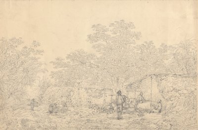 Dorpsgezicht door John Webber