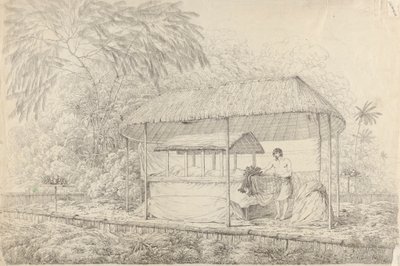 Waheiadooa, hoofd van Oheitepha, opgebaard door John Webber