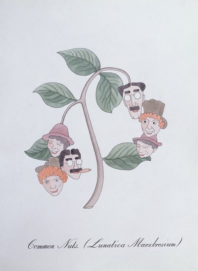 Gewone Noten. (Lunatica Marxbrosium), illustratie uit 