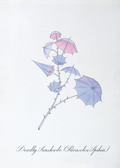 Dodelijke Parasol (Parasolia Spikeii.), illustratie uit 