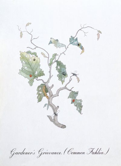 Tuinier