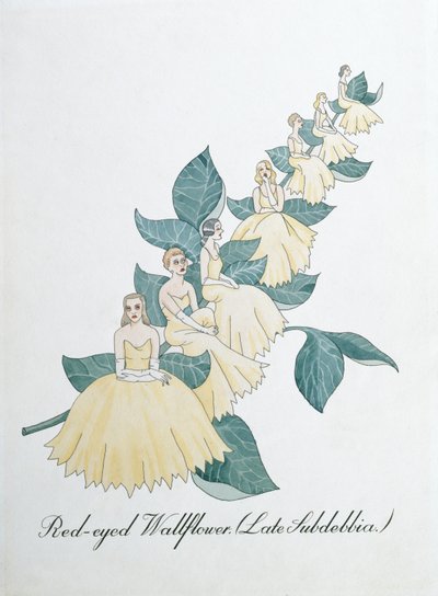 Roodogige Muurbloem (Late Subdebbia), illustratie uit 