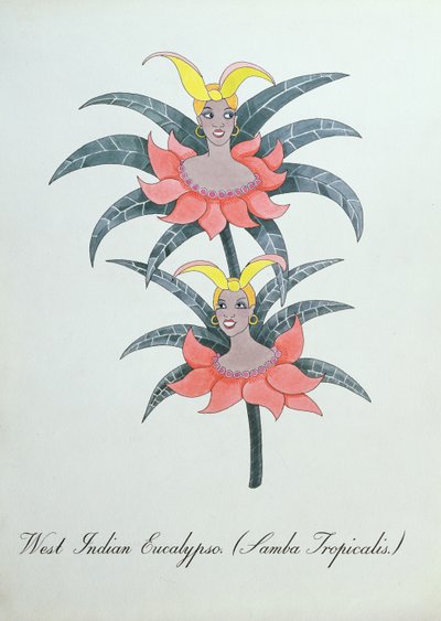 West-Indische Eucalypso (Samba Tropicalis.), illustratie uit 