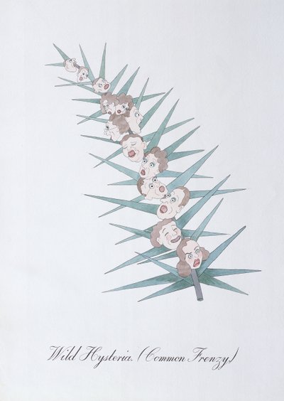 Wilde Hysterie (Gewone Frenzy.), illustratie uit 