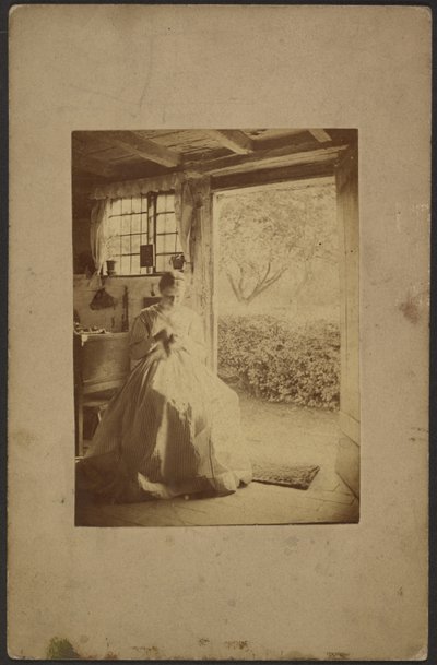 [Vrouw in lange gestreepte jurk zit in kamer]. door John Whistler