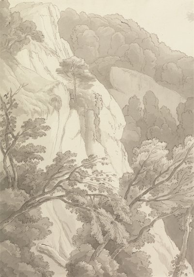 Canonteign door John White Abbott
