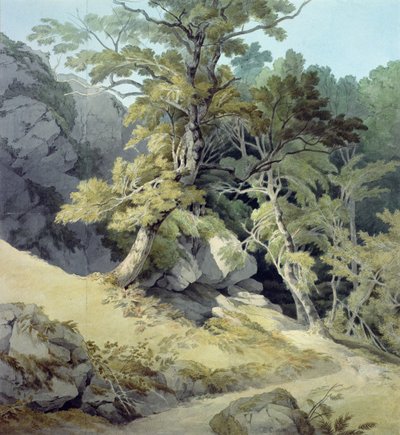 Canonteign, Devon door John White Abbott