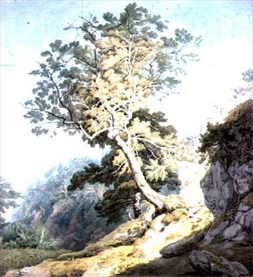 Uitzicht nabij Canonteign, Devon door John White Abbott