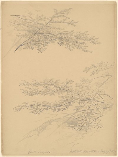 Berkentakken, Catskill Bergen door John William Casilear