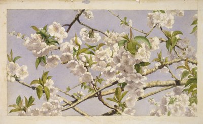 Appelbloesems, c.1874 door John William Hill