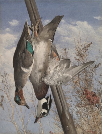 Hangende Wildvogels door John William Hill