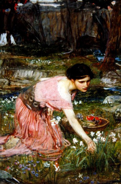 Meisjes die bloemen plukken bij een stroom, ca. 1911 door John William Waterhouse