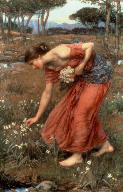 Narcissus door John William Waterhouse