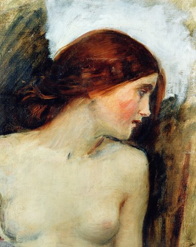 Studie voor het hoofd van Echo, c.1903 door John William Waterhouse