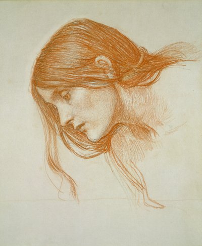 Studie van een Meisjeshoofd door John William Waterhouse