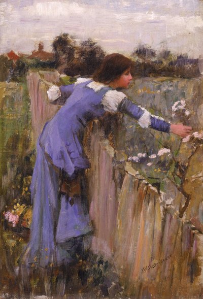 De Bloemenplukker door John William Waterhouse