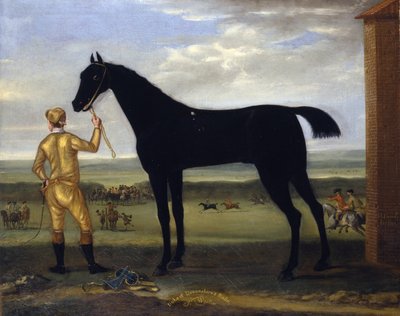 Het renpaard 