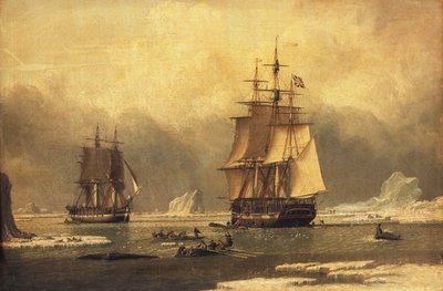 De "Swan" en "Isabella" Walvisvangst in het Noordpoolgebied door John of Hull Ward