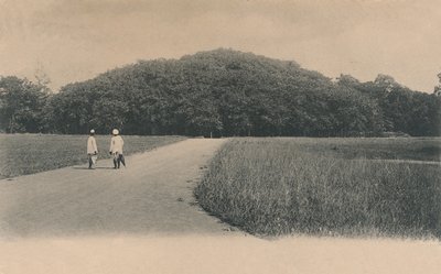 De Bunyanboom, Botanische Tuinen, Calcutta, 1906 door Johnston and Hoffmann