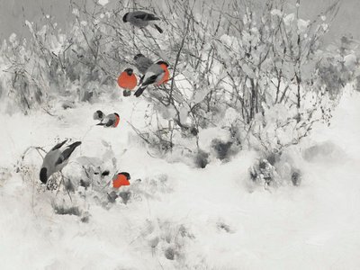 Roodborsttangaren in de sneeuw door Jolly and Dash