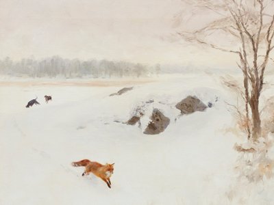 Red Fox Winterjacht door Jolly and Dash
