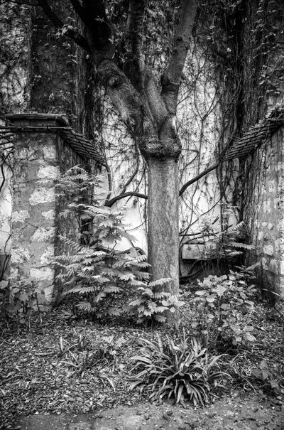Parijs in de lente, 2022 (foto) door Jon Nicholson