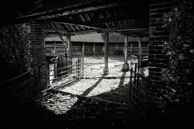  door Jon Nicholson