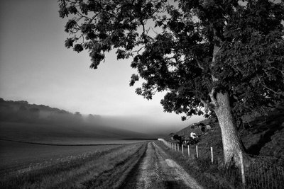  door Jon Nicholson