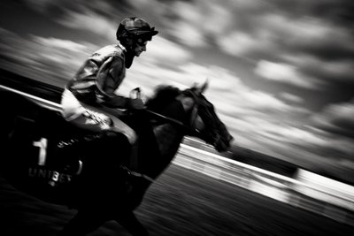 Het Goodwood Estate in West Sussex, VK, 2020 (foto) door Jon Nicholson
