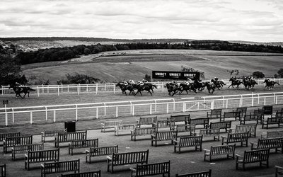 Het Goodwood Estate in West Sussex, VK, 2020 (foto) door Jon Nicholson