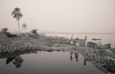 Wetlandvissen in Kolkata, 2016 (foto) door Jon Nicholson