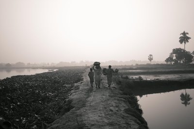 Wetlandvissen in Kolkata, 2016 (foto) door Jon Nicholson