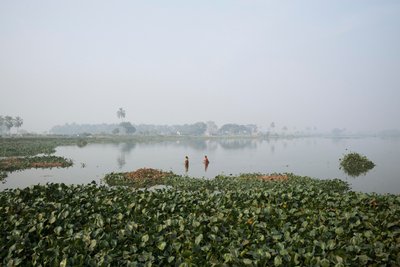 Wetlandvissen in Kolkata, 2016 (foto) door Jon Nicholson