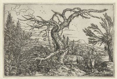 Landschap met de dorre boom door Jonas Umbach