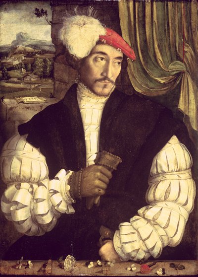 Portret van een man, 1533 door Jorg I Breu