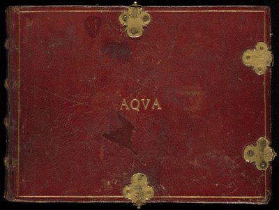 Animalia Aqvatilia et Cochiliata (Aqva), volume III door Joris Hoefnagel