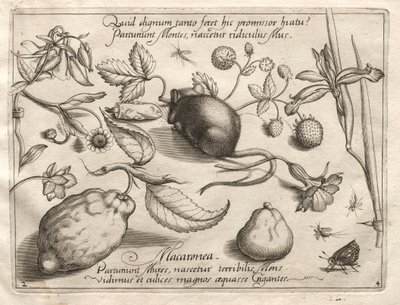 Archetypen en Studies: Wat kan ontstaan in overeenstemming met zo