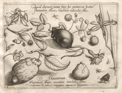 Archetypen en studies: Wat kan ontstaan in overeenstemming met zo