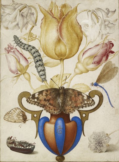 Schikking van bloemen in een vaas, met insecten, 1594 (aquarel met goud op perkament) door Joris Hoefnagel