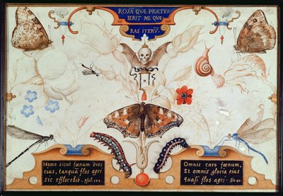 Diptiek met bloemen en insecten, 1591 door Joris Hoefnagel