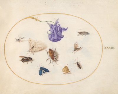 Insecten, ca. 1575-80 door Joris Hoefnagel