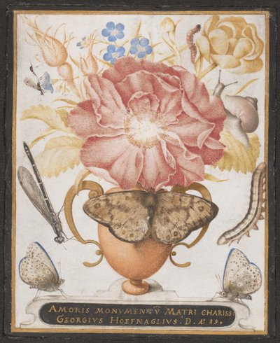 Stilleven met bloemen, een slak en insecten door Joris Hoefnagel